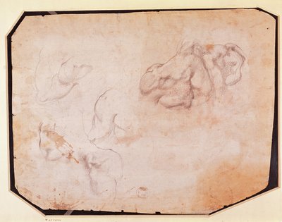 Study of Muscles (verso) by Michelangelo Buonarroti